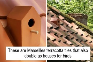 birdhouse roof tiles