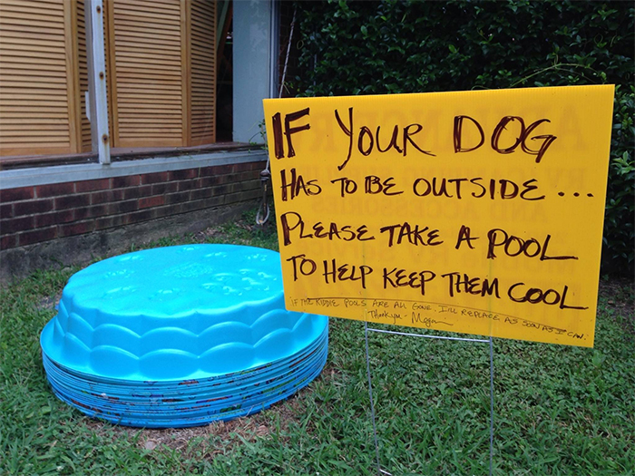 free dog pool to keep them cool