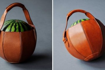 leather watermelon bag