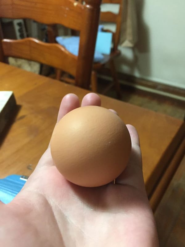 Oddly Satisfying Food Photos circle egg