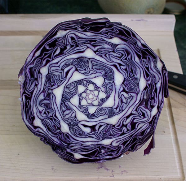 Oddly Satisfying Food Photos natural cabbage