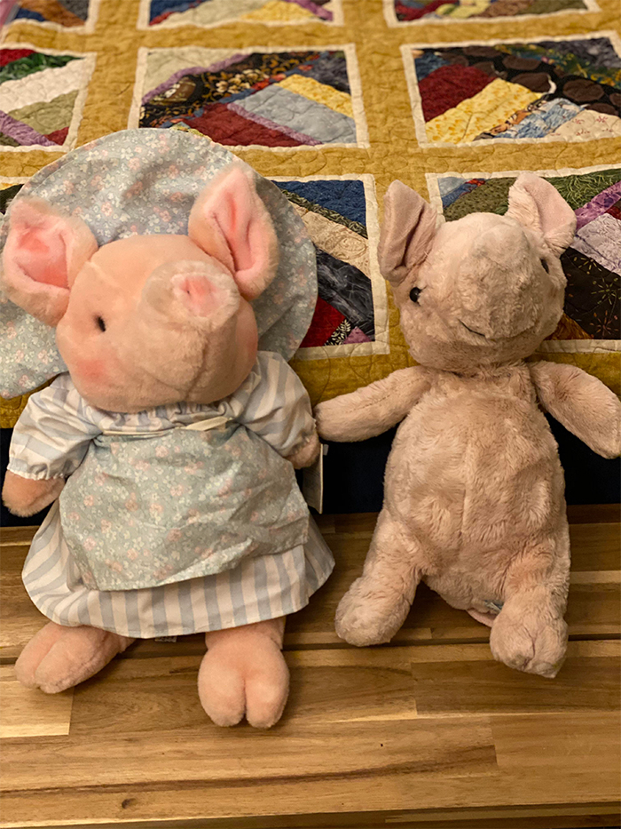 old versus new stuffed toy plush pig