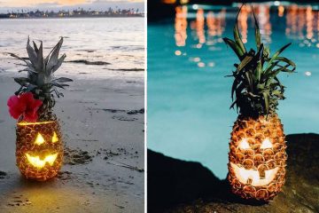 pineapple pumpkin halloween