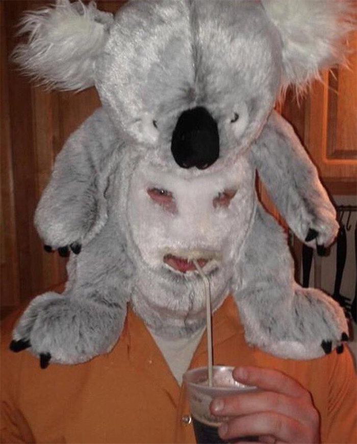 plush koala head cover