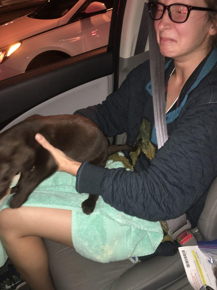 puppy explosive diarrhea on owner's wife