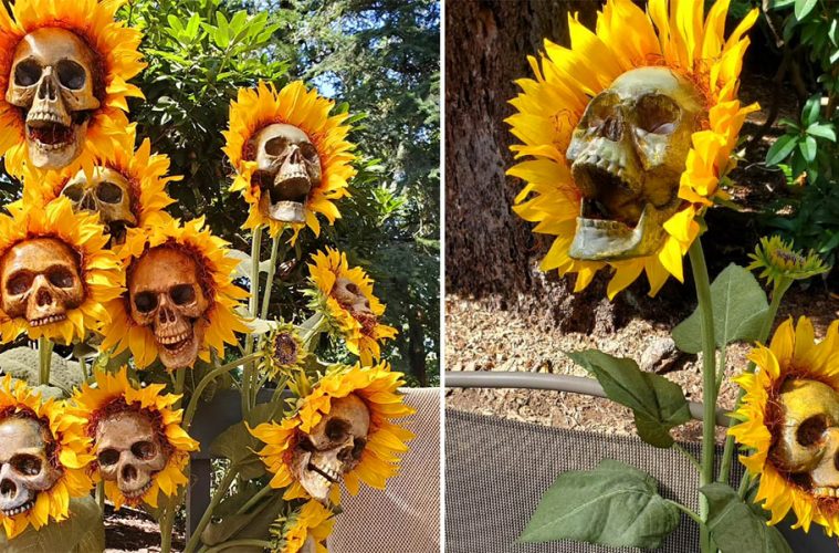 Skull sunflowers