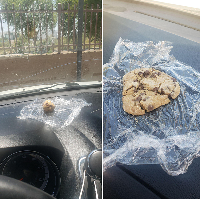 summer heatwaves baking cookies on car dashboard