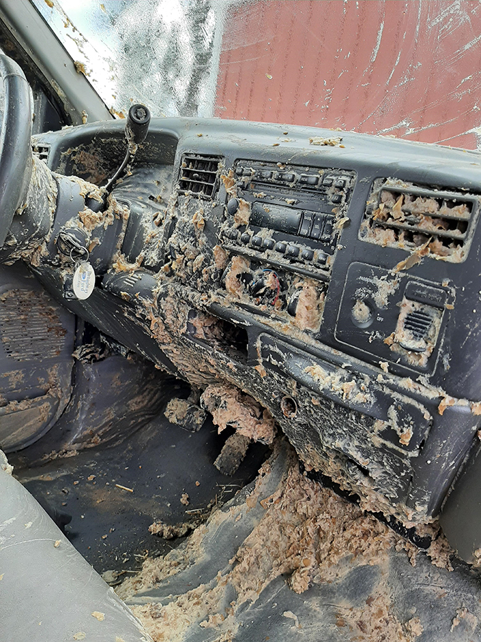 things gone wrong rotten potato slurry mess in truck front seat