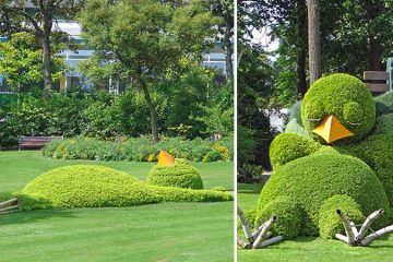 Topiary Sculpture of a Sleeping Baby Bird