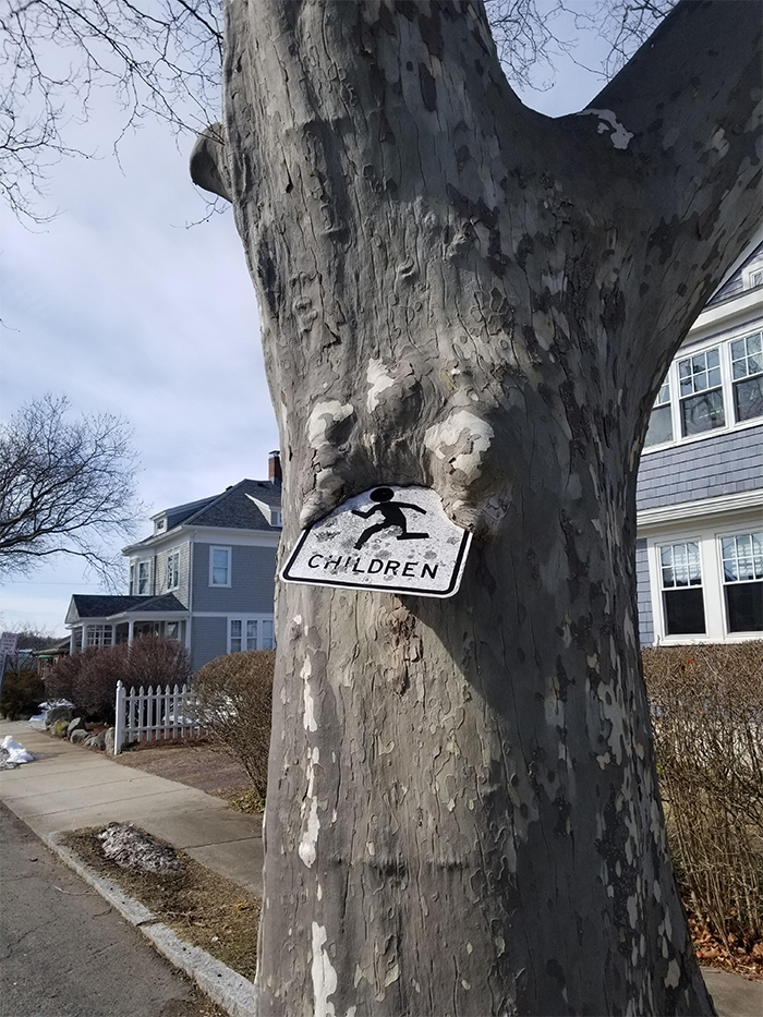 tree consuming worn down sign