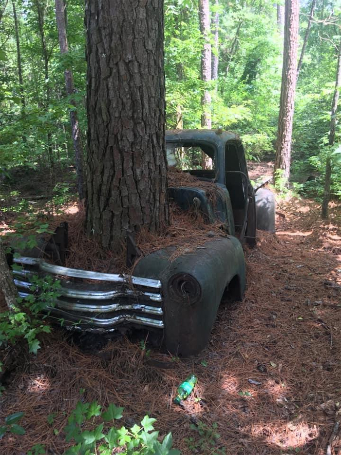 tree growing through old truck