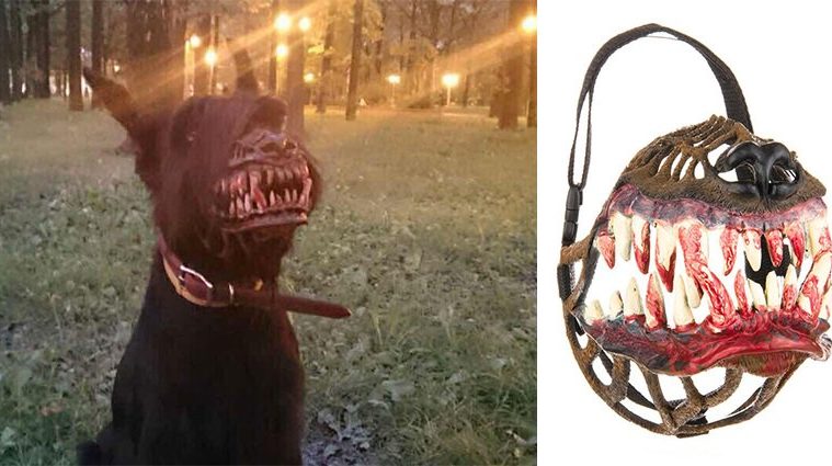 Werewolf Muzzles For Dogs