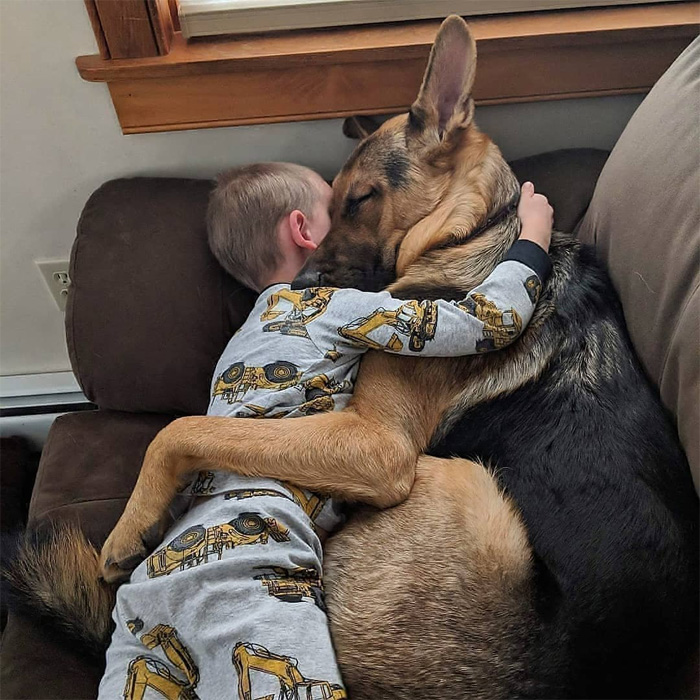 wholesome animals dog napping with kid
