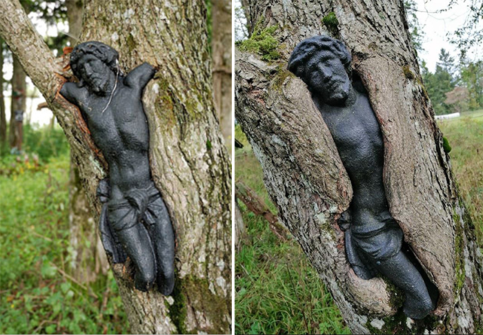 worn down jesus statue tree