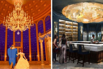 comparing the cartoon disney world beauty and the beast bar grand floridian